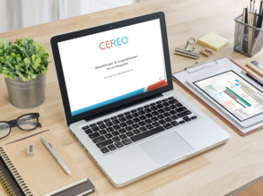 Whitepaper onderzoeken bij re-interatie