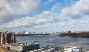 CEREO uitzicht loopbaanadviesbureau Rotterdam